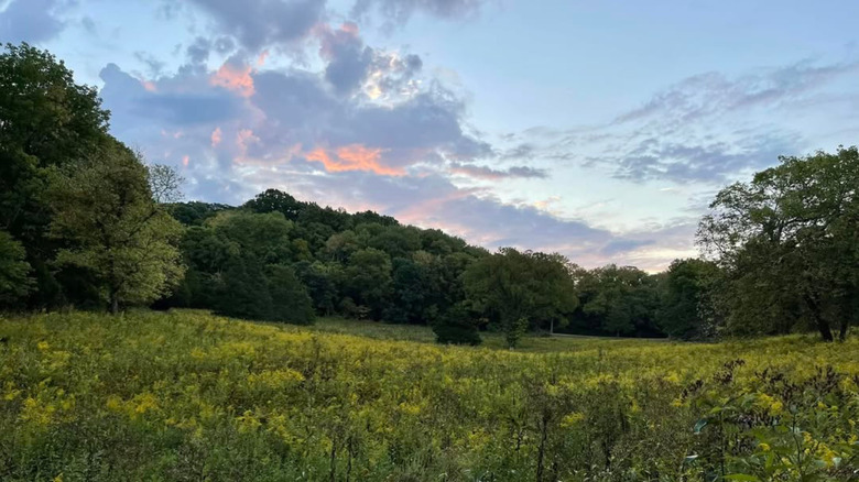 Warner Parks in Nashville, Tennessee