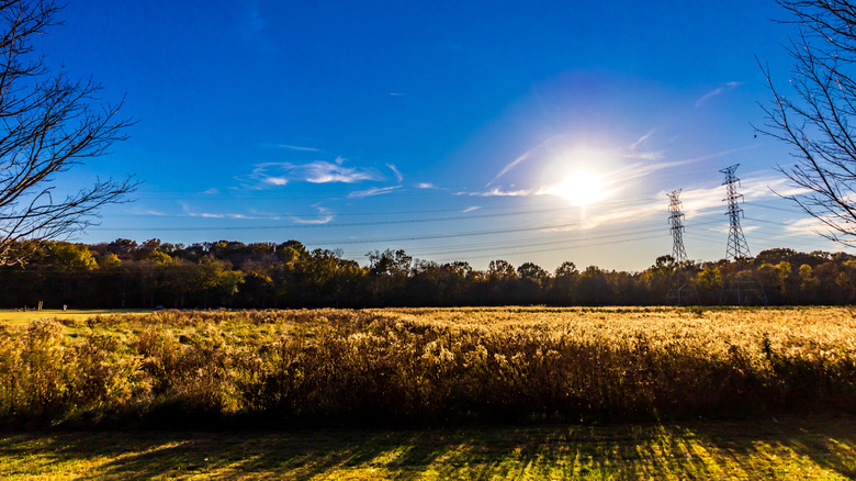 Fields and trees at Edwin Warner Park in Nashville.