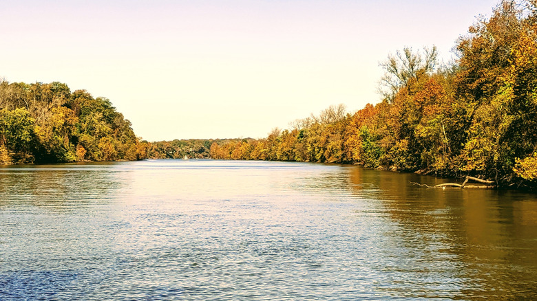 The wide Cumberland River with trees on either side on a clear day.