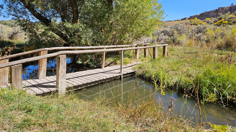 Footbridge over a small creek
