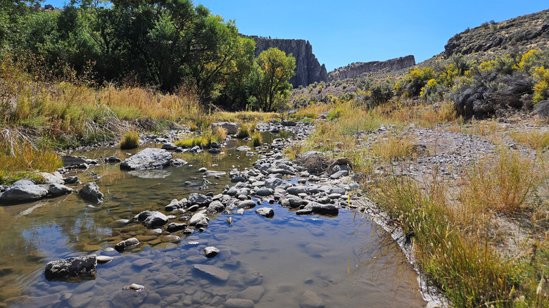 Still creek surrounded by trees and bluffs