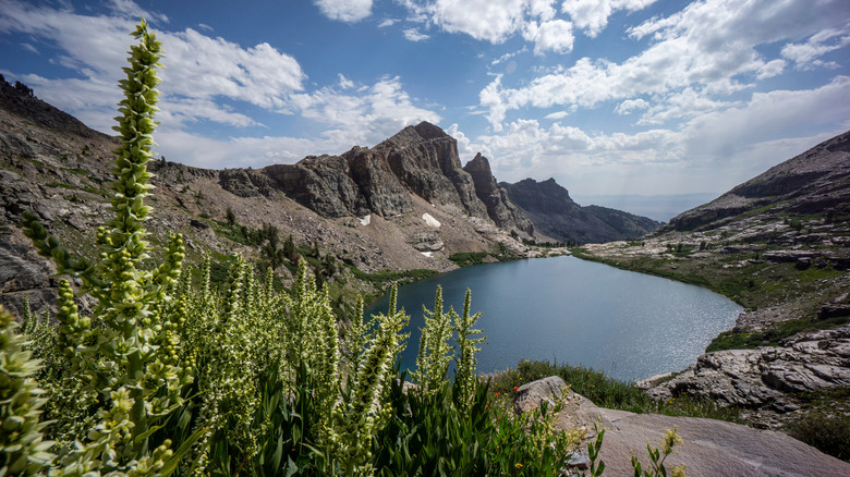 Calm lake surrounded by mountains