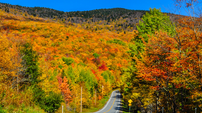 Autumn foliage around Brandon Vermont