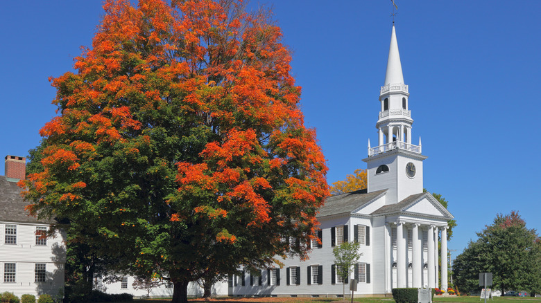 Litchfield Green town center and large tree with autumn leaves.