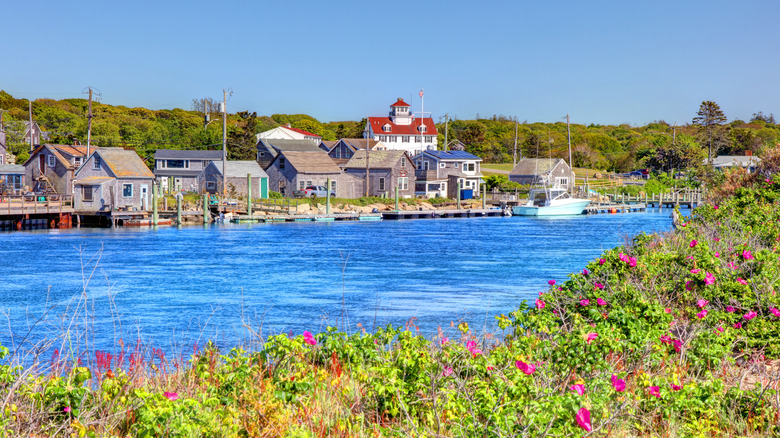 Cottages on the water in Chilmark, Martha's Vineyard