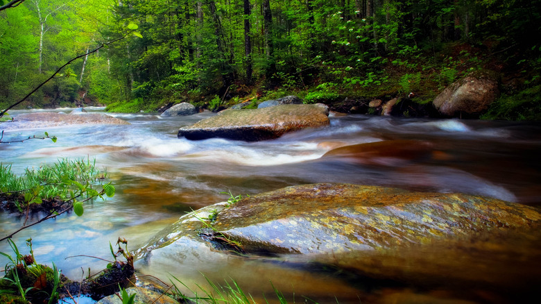 Running water over rocks at Moxie Falls