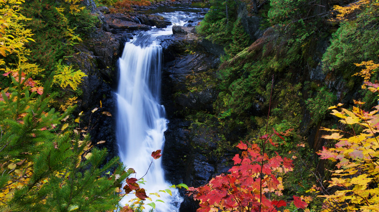 Moxie Falls surrounded by fall foliage