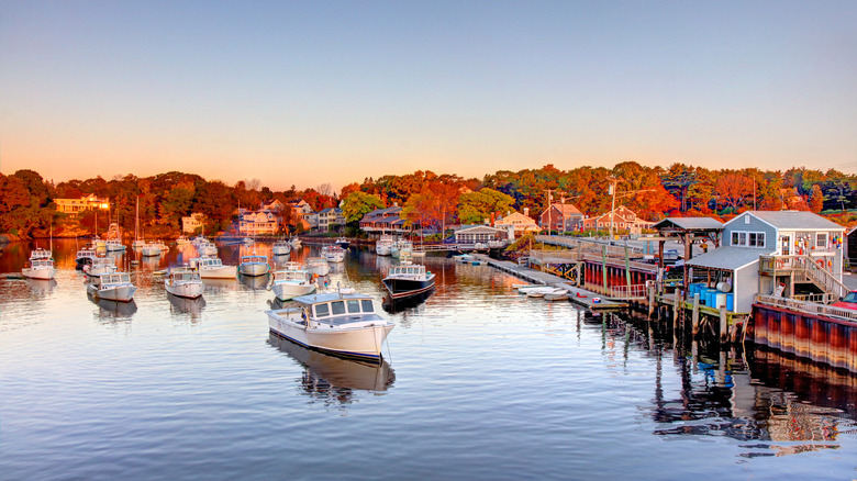 Perkins cove ogunquit Maine, the trees orange in the sunset glow