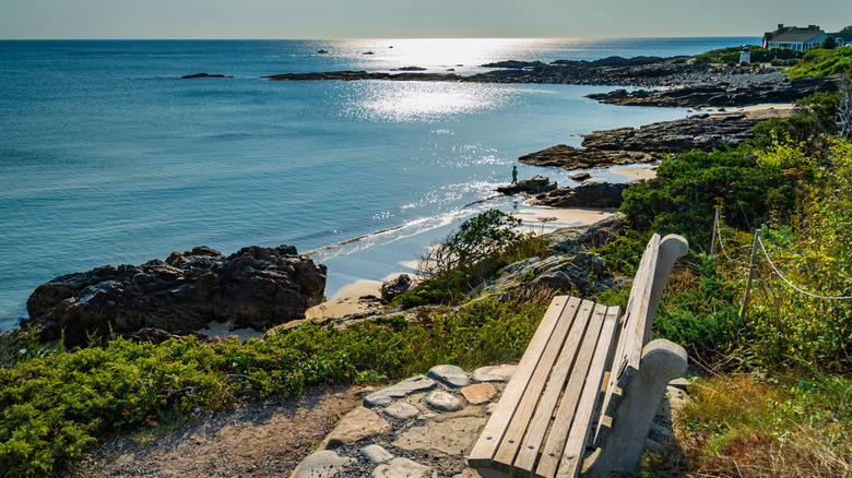 Bench overlooking the water from Marginal way ogunquit maine