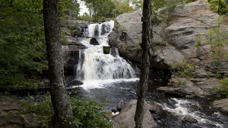 Chapman falls in The Devil's Hopyard State Park