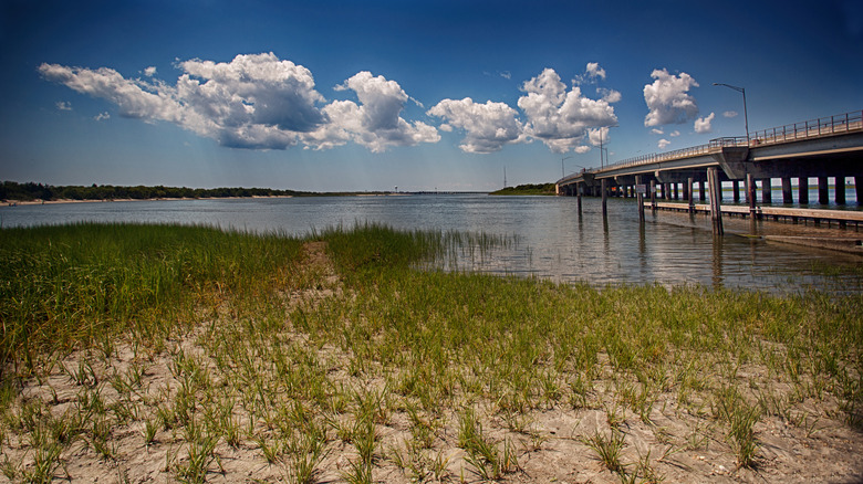 Corson's Inlet State Park, New Jersey