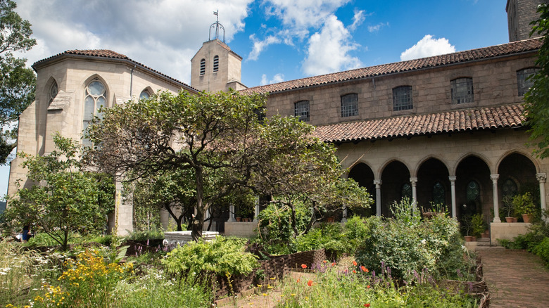 A cloister garden with plants and trees