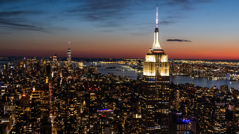 View of the New York City skyline at night