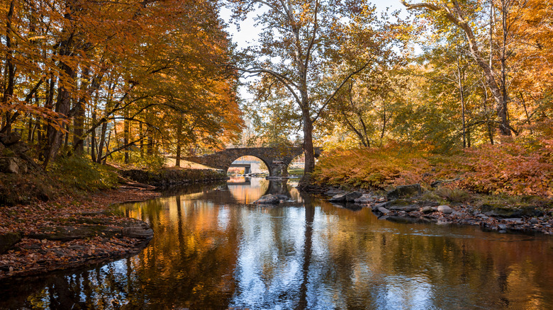 The Stone Arch Bridge in Callicoon, NY