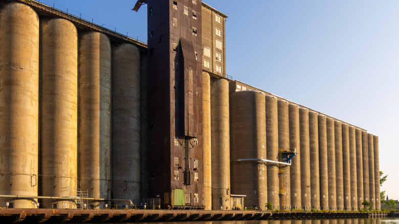 Silos near the water in Silo City, Buffalo