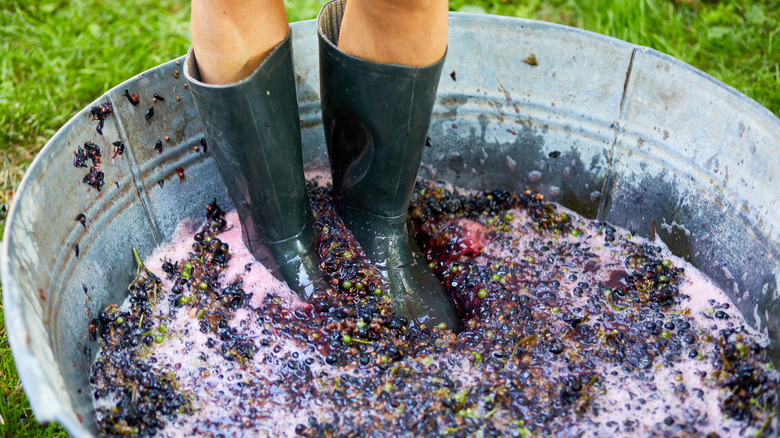 Person wearing boots, stomping on grapes in a metal tub