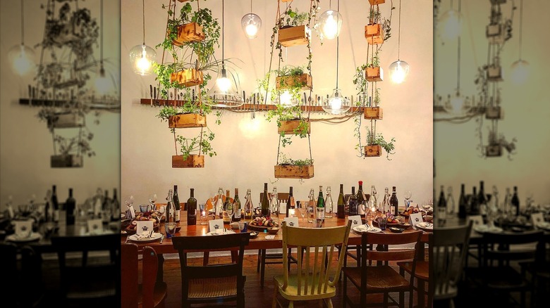 a long dinner table with place settings and wine bottles and hanging plants above