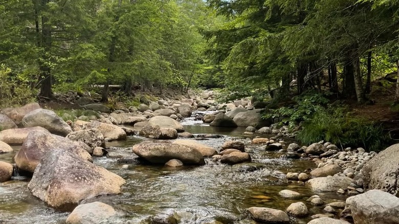 Stream at the base of the Roaring Brook Falls