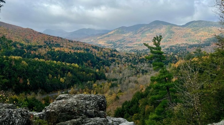 The view from Roaring Brooks Falls
