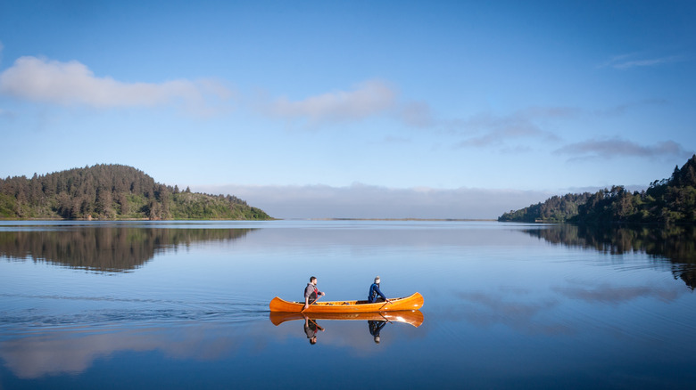 Couple canoeing on the Humboldt Lagoon, with forested hills and the ocean in the background