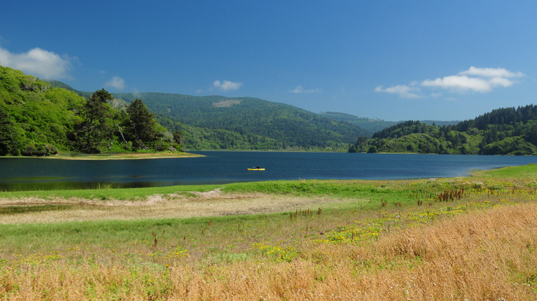 a person kayaks in Stone Lagoon at Humboldt State National Park, a large body of water with forested mountains behind it