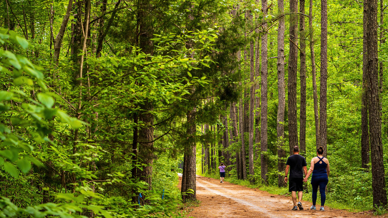 A couple walks hand in hand in the distance on the Greenway near Apex, surrounded by tall trees and lush undergrowth
