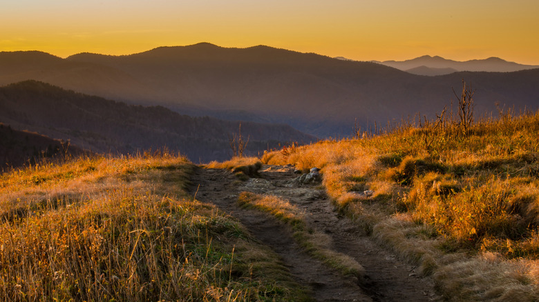 View of the Art Loeb Trail that passes through this stunning scene over the Blue Ridge Mountains in North Carolina