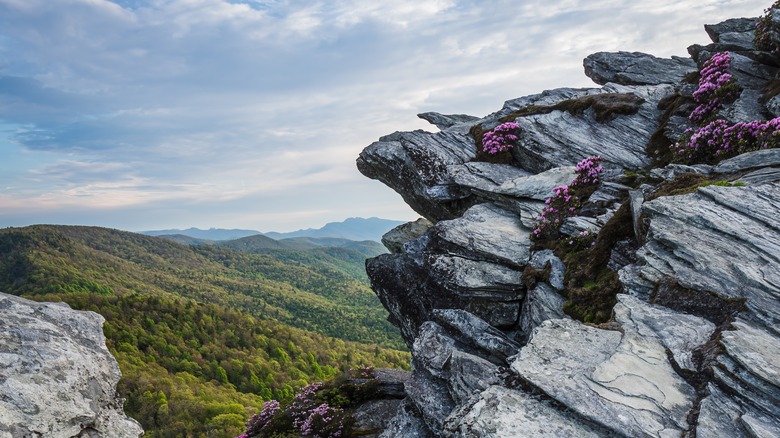 Rock outcroppings in Linville Gorge Wilderness Area