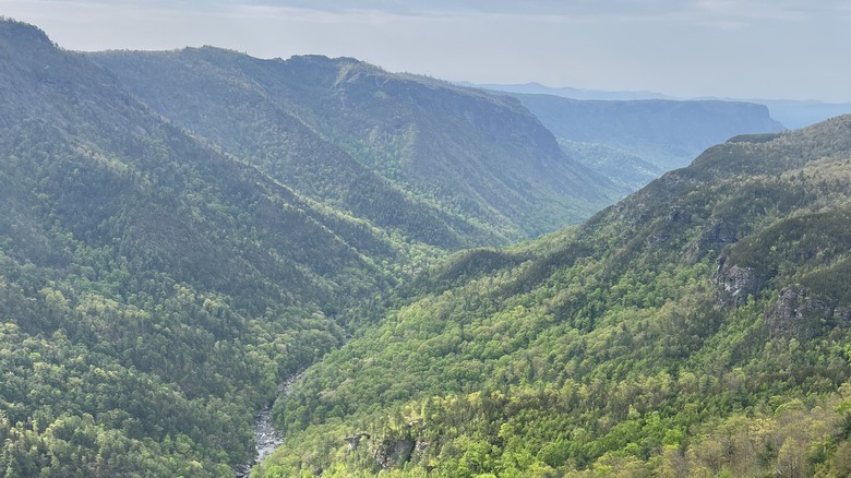 An aerial view of the Linville River Gorge