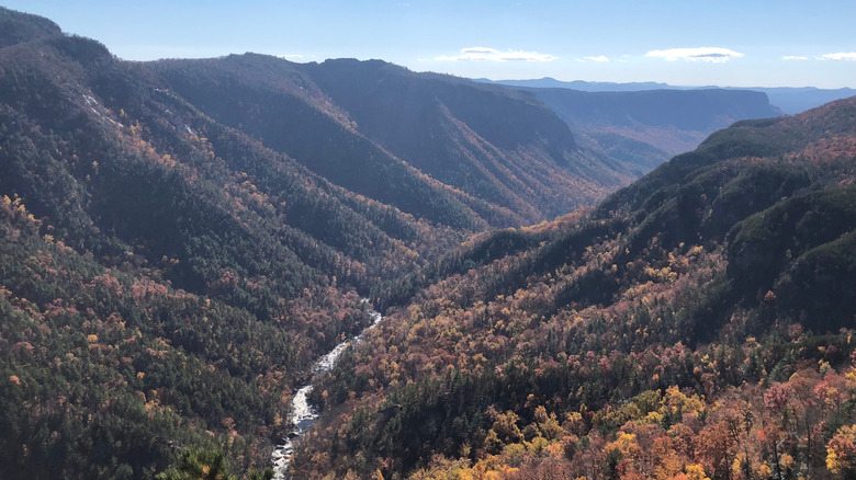 An aerial view of the Linville River Gorge