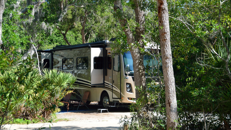 An RV camping out in Northern Florida