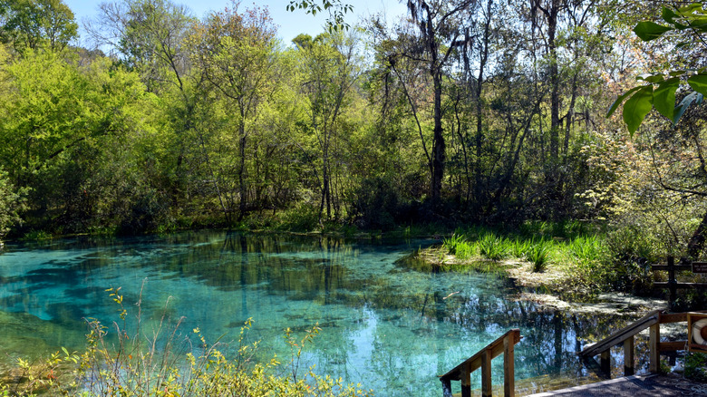 A beautiful blue spring at Ichetucknee Springs State Park