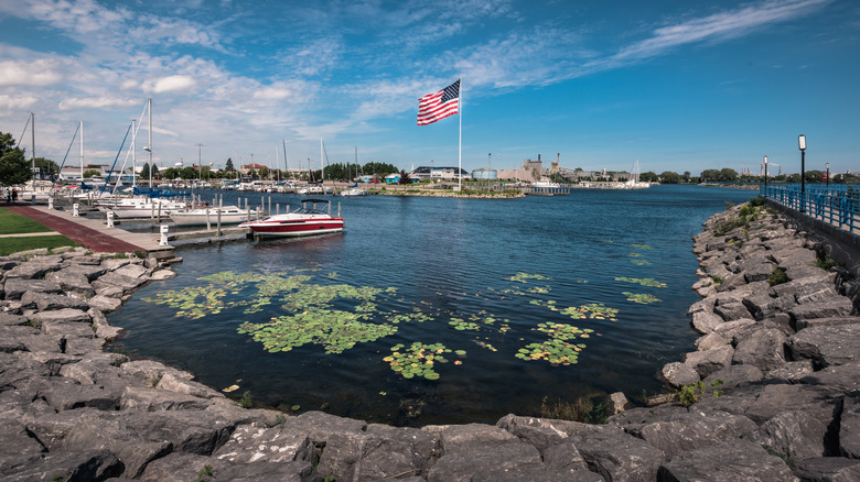 Shoreline and marina in Alpena