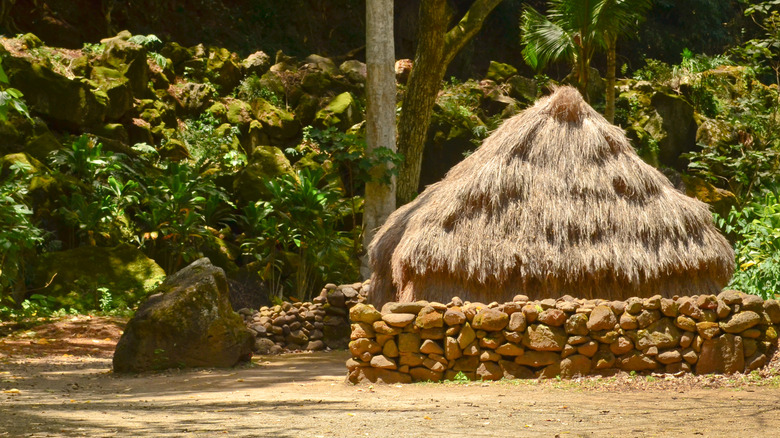 A traditional hale home in Waimea Valley Park