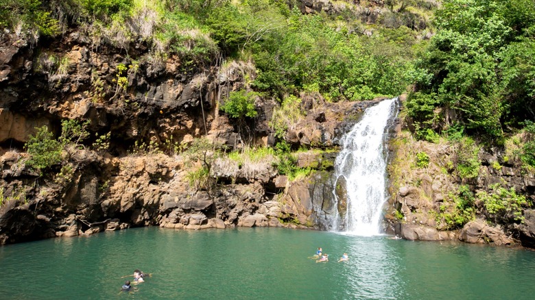 Waimea Waterfall with people swimming in its pool