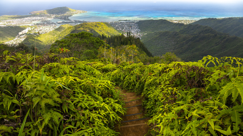 Lush landscapes of Oahu, Hawaii