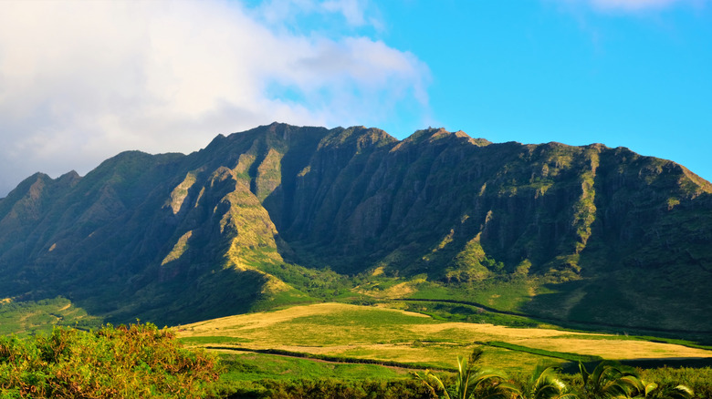 A view of the Makua Valley