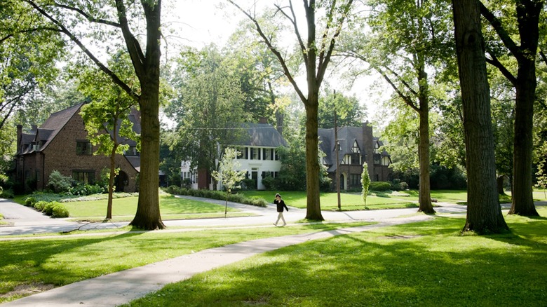person walking on tree lined street in Shaker Heights, Ohio