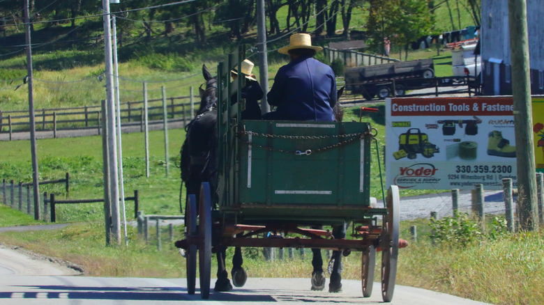 horse drawn carriage ride