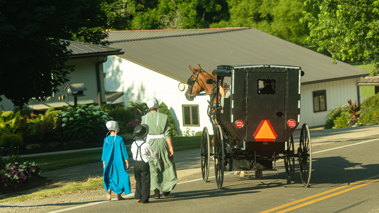 Amish woman with children walking down the street
