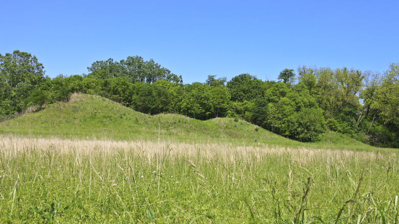 A view of four of the grassy Spiro Mounds on a clear day surrounded by trees