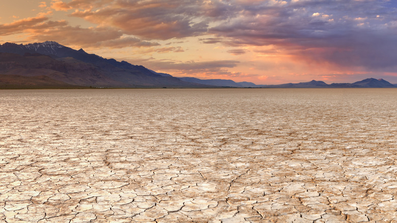 The Alvord Desert in Oregon at sunset