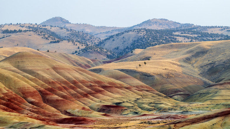 Aerial view of the Painted Hills, Oregon