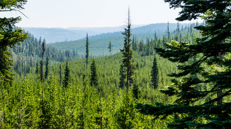 A scenic view of the Wallowa Mountains, Oregon