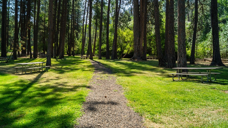 Picnic tables and a path at Catherine Creek State Park