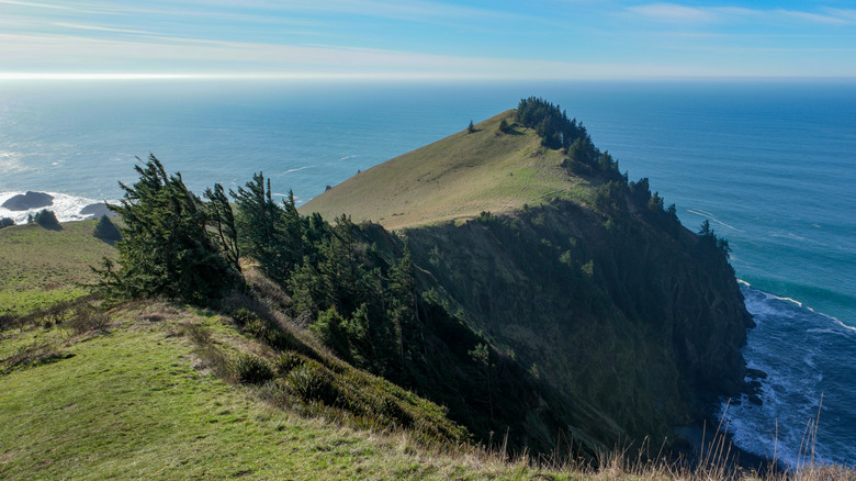The green cliffs of Cascade Head overlooking the Pacific Ocean on the Oregon coast