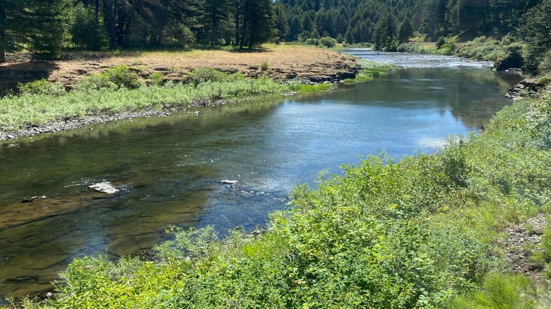 Bend in the ﻿﻿Grande Ronde River