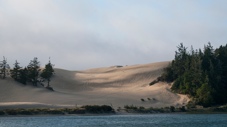 A big sand dune is covered in tracks beside a lake in Oregon