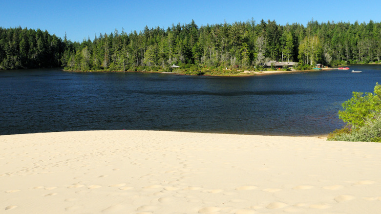 A beach and a lake surrounded by forests at the Jessie M. Honeyman Memorial State Park
