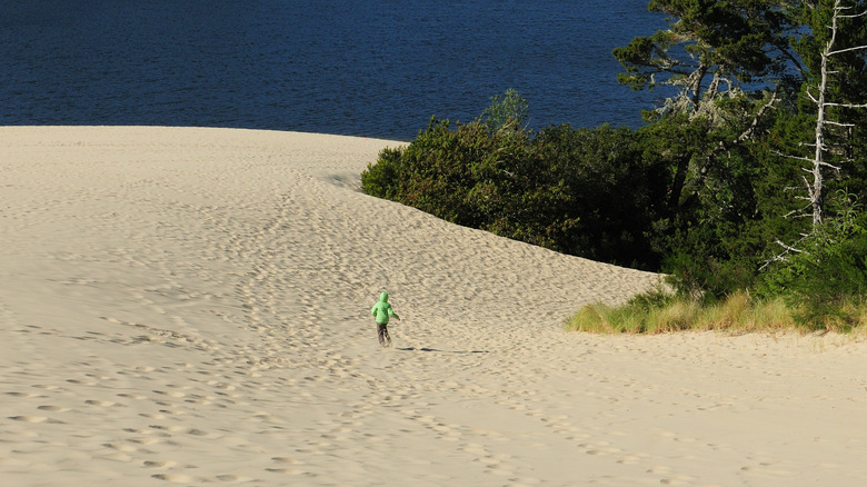 A person runs down a sand dune in the Jessie M. Honeyman Memorial State Park